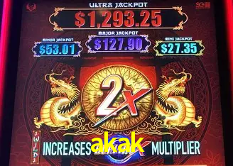 Apostas Esportivas na akak: Um Guia Completo